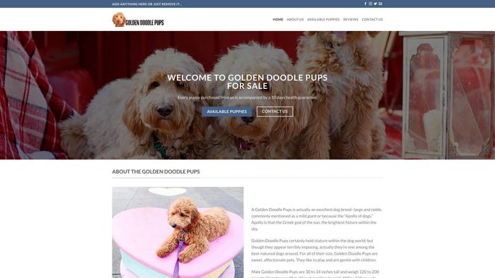 Goldendoodlepupsforsale.com - Golden Doodle Puppy Scam Review