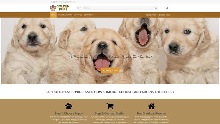 Goldenretrieverpuppiesonline.com - Golden Retriever Puppy Scam Review