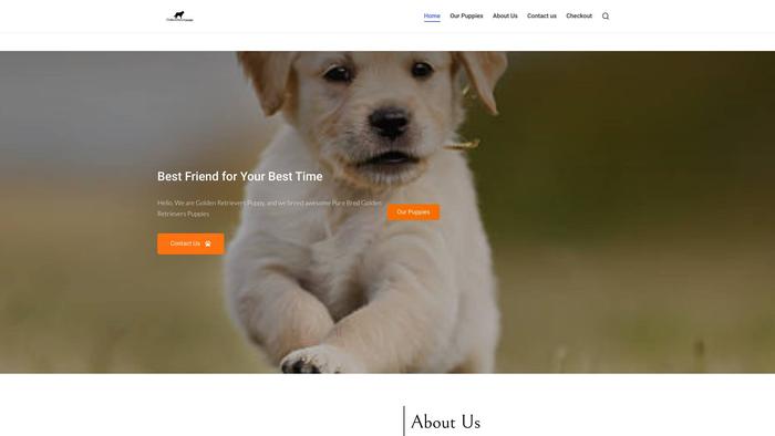 Goldenretrieverspuppy.com - Golden Retriever Puppy Scam Review