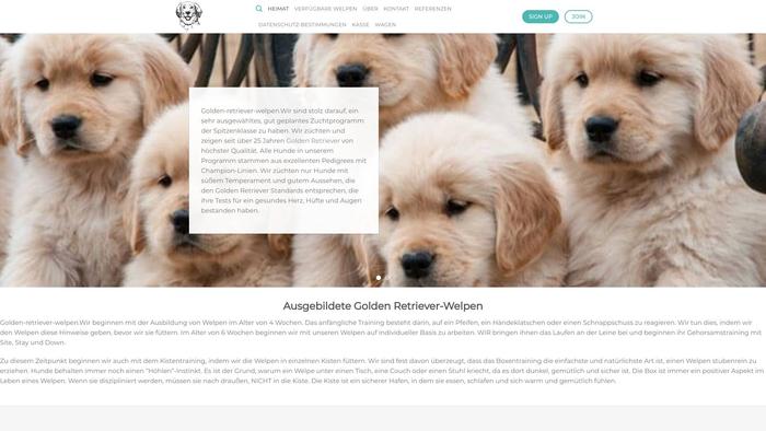 Goldenretrieverwelpen.xyz - Golden Retriever Puppy Scam Review