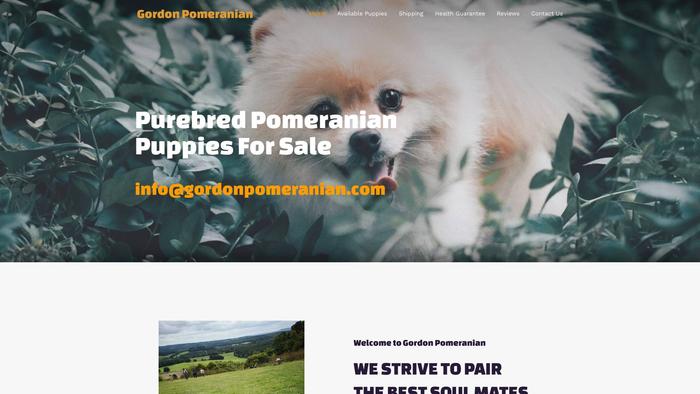 Gordonpomeranian.com - Pomeranian Puppy Scam Review