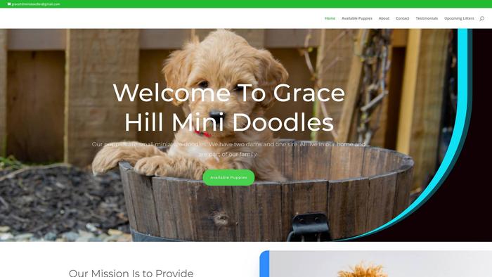 Gracehilminidoodles.com - Labradoodle Puppy Scam Review