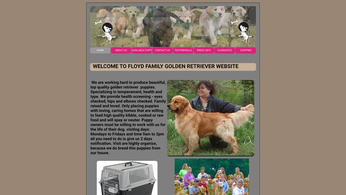 Gracehousegoldenretrieverpuppies.com - Golden Retriever Puppy Scam Review