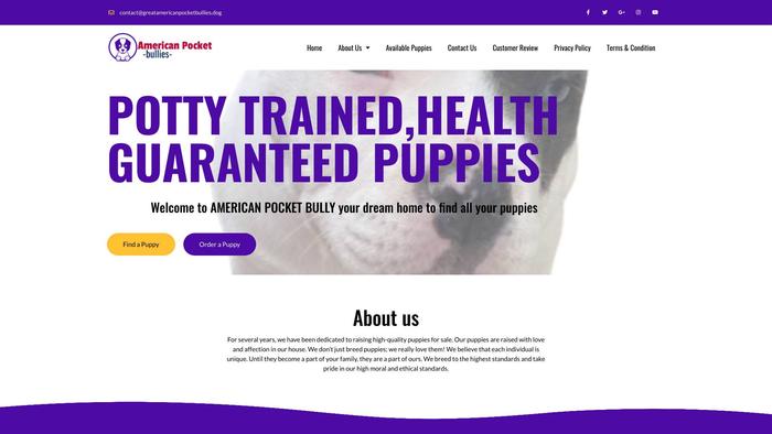 Greatamericanpocketbullies.dog - French Bulldog Puppy Scam Review