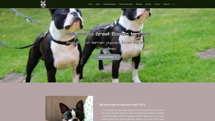 Greatbostonterriers.com - Boston Terrier Puppy Scam Review