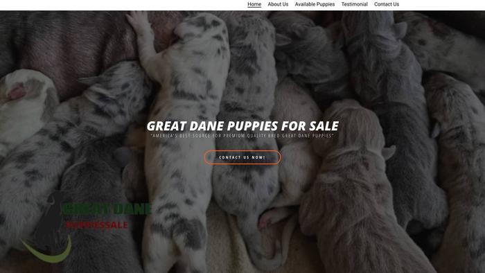 Greatdanepuppiessale.com - Great Dane Puppy Scam Review