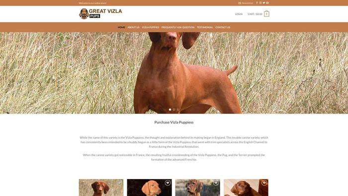 Greatvizlapups.com - Labrador Puppy Scam Review