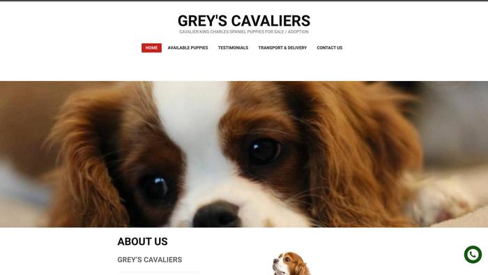 Greyscavalierskc.com - Cavalier King Charles Spaniel Puppy Scam Review