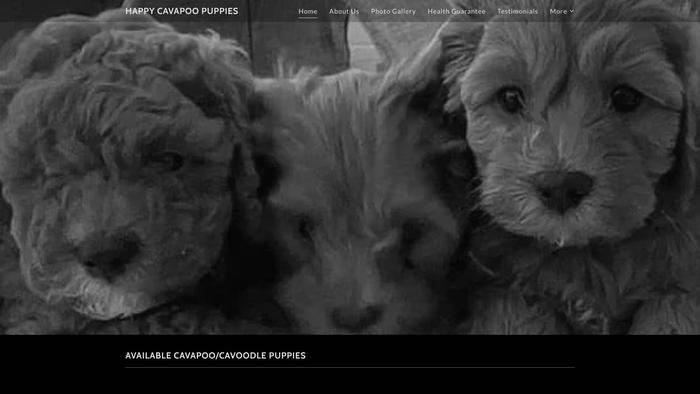 Happycavapoopups.com - Cavapoo Puppy Scam Review