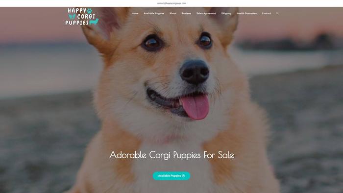 Happycorgipups.com - Corgi Puppy Scam Review