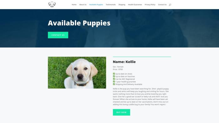 Happylabradorhome.com - Labrador Puppy Scam Review