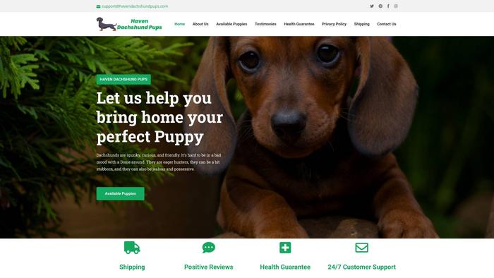 Havendachshundpups.com - Dachshund Puppy Scam Review