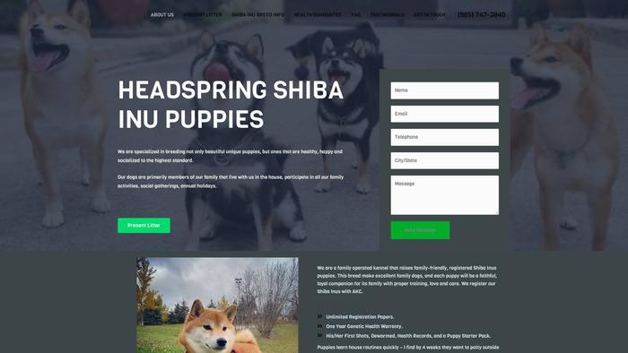 Headspringshibainupuppies.com - Shibhainu Puppy Scam Review