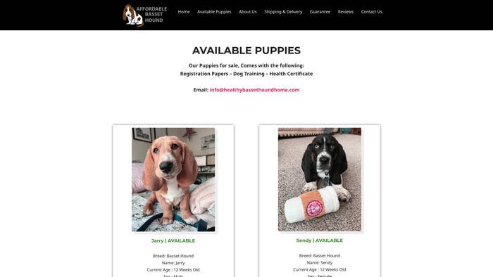 Healthybassethoundhome.com - Bassethound Puppy Scam Review