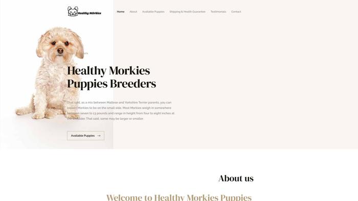 Healthymorkies.com - Yorkshire Terrier Puppy Scam Review