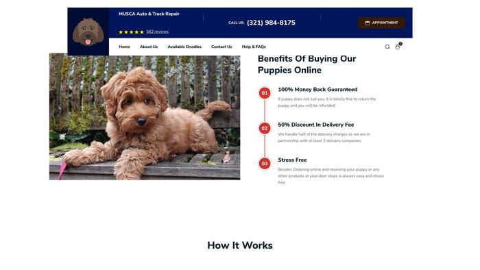 Heavenlypuppies.dog - Labradoodle Puppy Scam Review