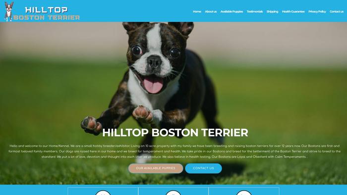 Hilltopbostonterrier.com - Boston Terrier Puppy Scam Review