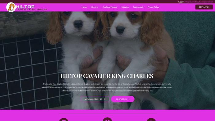 Hiltopcavalierkingcharles.com - Cavalier King Charles Spaniel Puppy Scam Review