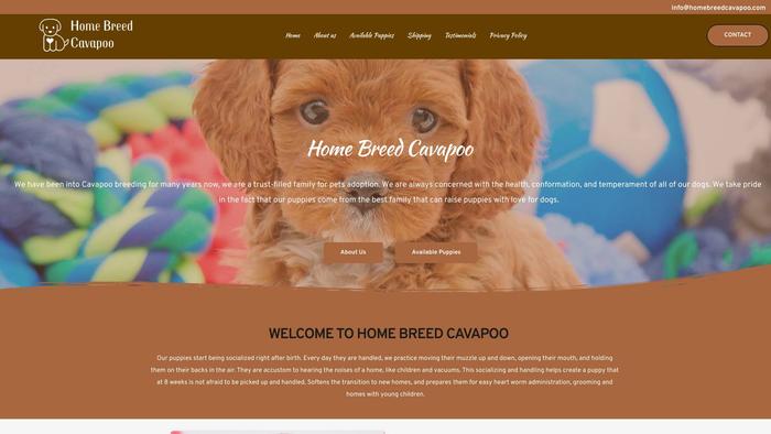 Homebreedcavapoo.com - Cavapoo Puppy Scam Review