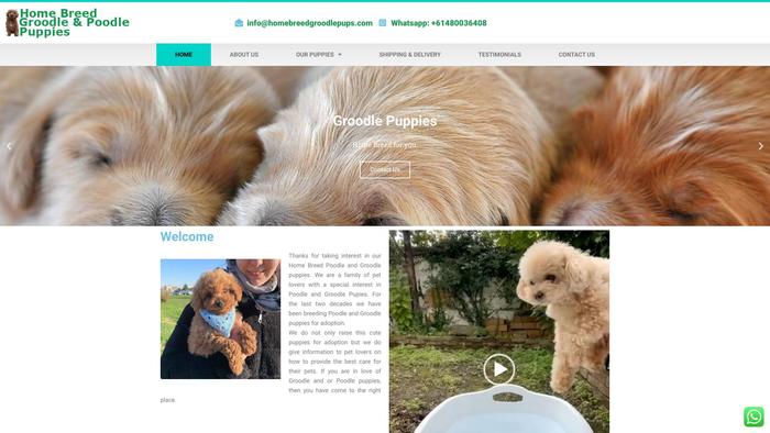 Homebreedgroodlepups.com - Labradoodle Puppy Scam Review