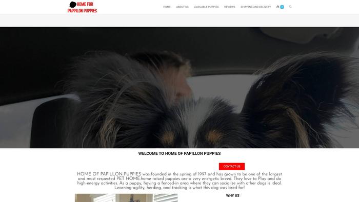 Homeforpapillonpuppies.com - Papillon Puppy Scam Review