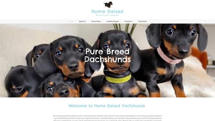 Homeraiseddachshundpuppies.com - Dachshund Puppy Scam Review