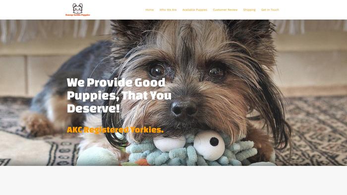 Homesforteacupyorkiepuppies.com - Yorkshire Terrier Puppy Scam Review