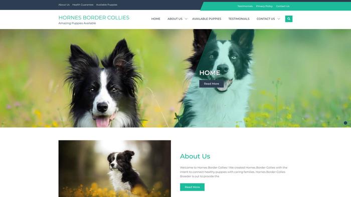 Hornesbordercollies.com - Bordercollie Puppy Scam Review