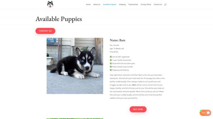 Huskypuppiesbreeders.com - Husky Puppy Scam Review