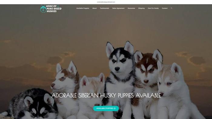 Huskypurebreed.com - Husky Puppy Scam Review