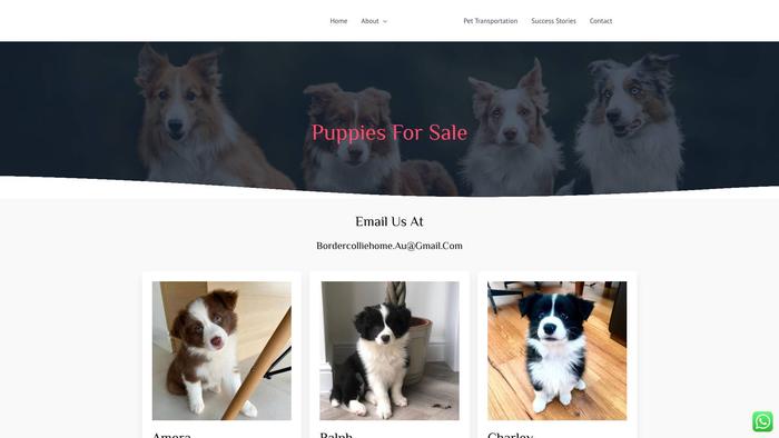 Idealbordercollies.com - Bordercollie Puppy Scam Review