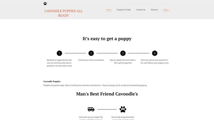 Infocavoodlepuppies.net - Cavapoo Puppy Scam Review