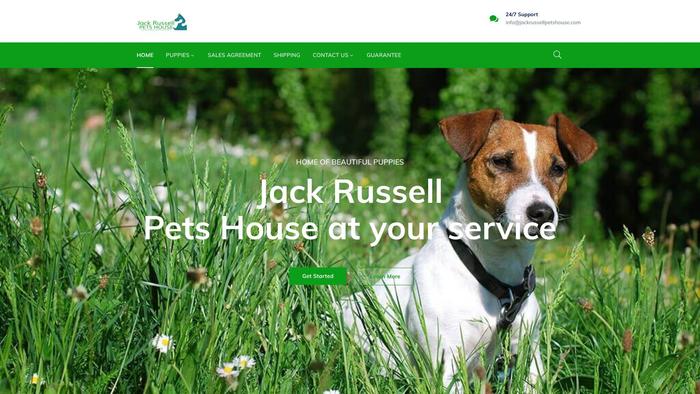 Jackrussellpetshouse.com - Jack Russell Terrier Puppy Scam Review