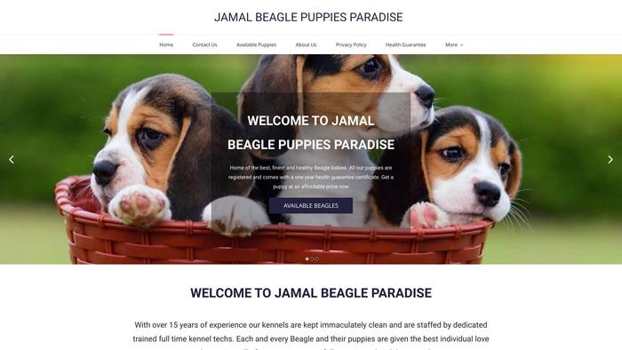 Jamalbeaglepuppies.com - Beagle Puppy Scam Review