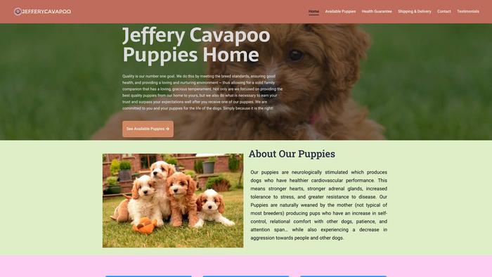 Jefferycavapoopuppies.com - Cavapoo Puppy Scam Review