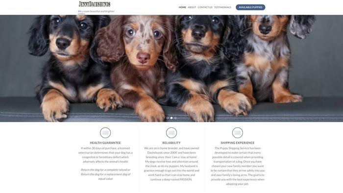 Jennydachshunds.com - Dachshund Puppy Scam Review