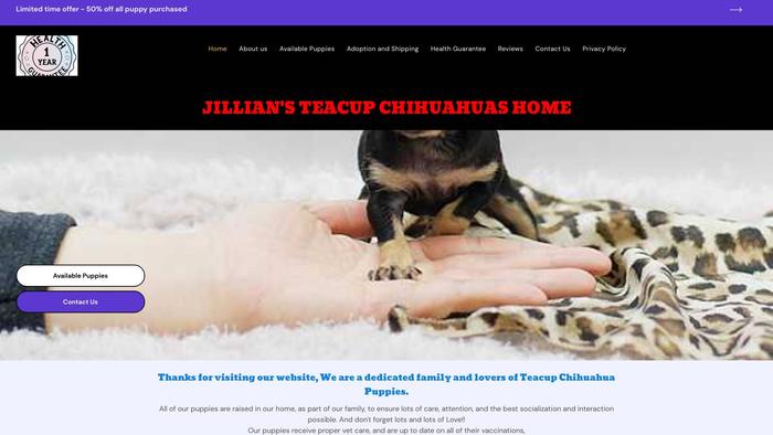 Jillianchihuahuas.com - Chihuahua Puppy Scam Review