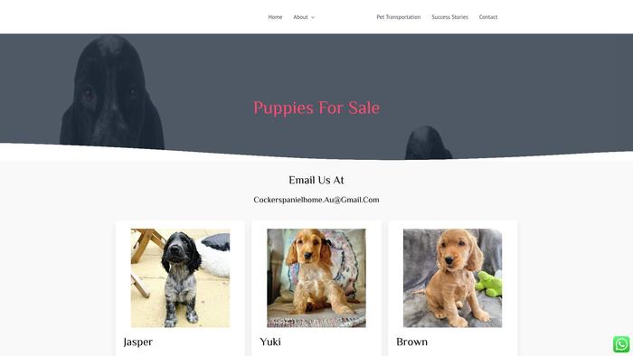 Jjcockerspaniels.com - Cockerspaniel Puppy Scam Review