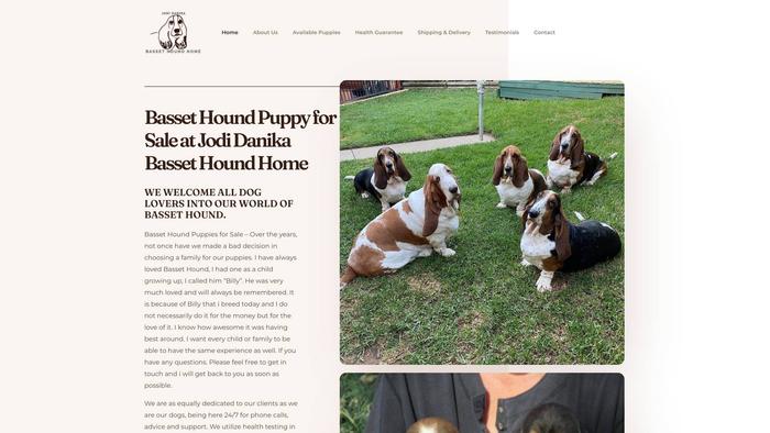 Jodidanikabassethoundhome.com - Bassethound Puppy Scam Review