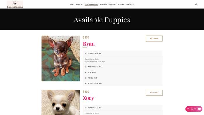 Johnsonchihuahua.com - Chihuahua Puppy Scam Review