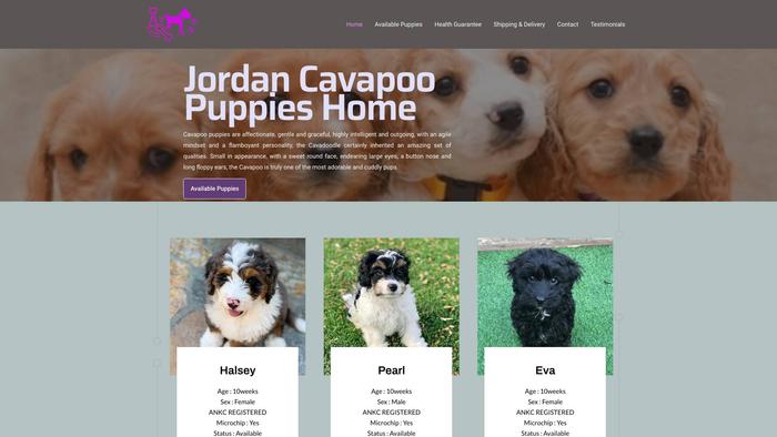 Jordancavapoopuppies.com - Cavapoo Puppy Scam Review