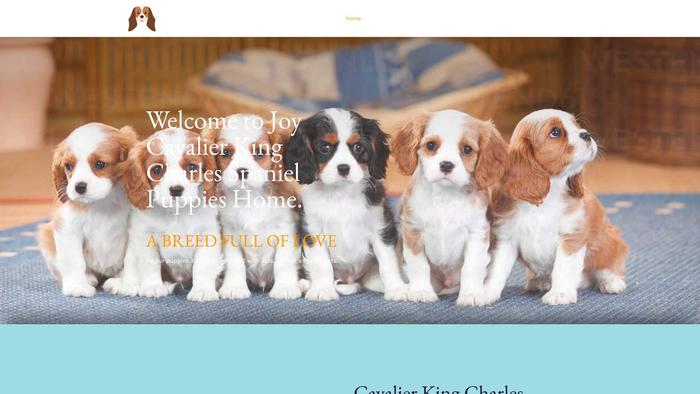 Joycavalierpups.com - Cavalier King Charles Spaniel Puppy Scam Review