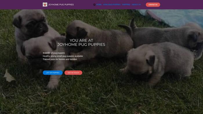 Joyhomepugpuppies.com - Pug Puppy Scam Review