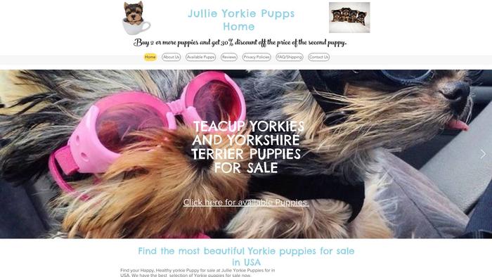 Jullieteacupyorkiepupps.com - Yorkshire Terrier Puppy Scam Review