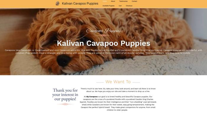 Kalivancavapoopuppies.com - Cavapoo Puppy Scam Review