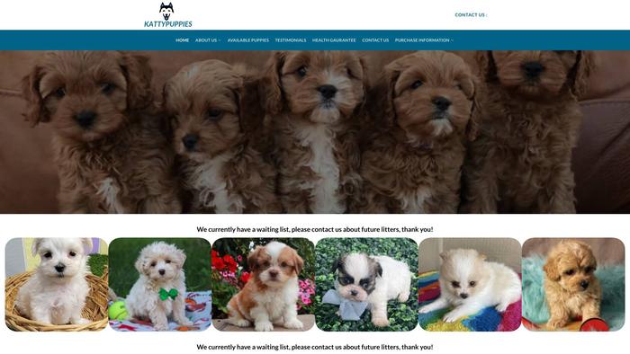 Kattypuppies.com - Cavapoo Puppy Scam Review