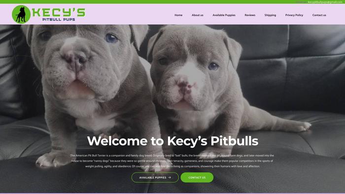 Kecypitbullpups.com - Pit Bull Puppy Scam Review