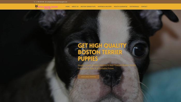 Keithsbostonterrierpuppies.com - Boston Terrier Puppy Scam Review