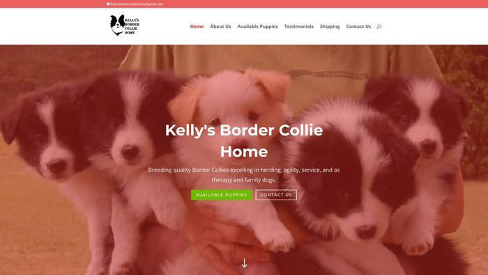 Kellysbordercolliehome.com - Bordercollie Puppy Scam Review