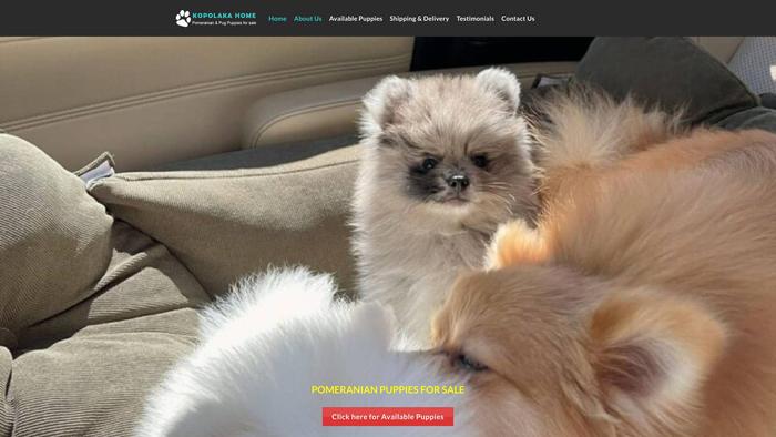 Kopolaka.online - Pomeranian Puppy Scam Review